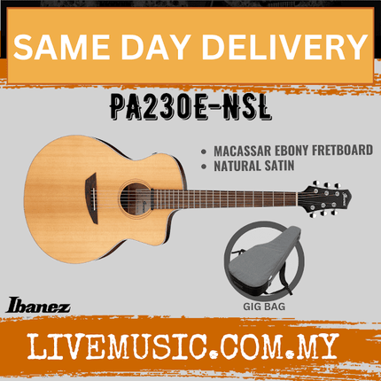 Ibanez PA230E-NSL Acoustic-Electric Guitar - Natural Satin Top, Natural Satin Top ( PA230E NSL / PA230ENSL )