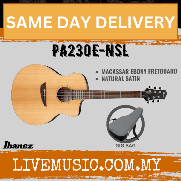 Ibanez PA230E-NSL Acoustic-Electric Guitar - Natural Satin Top, Natural Satin Top ( PA230E NSL / PA230ENSL )