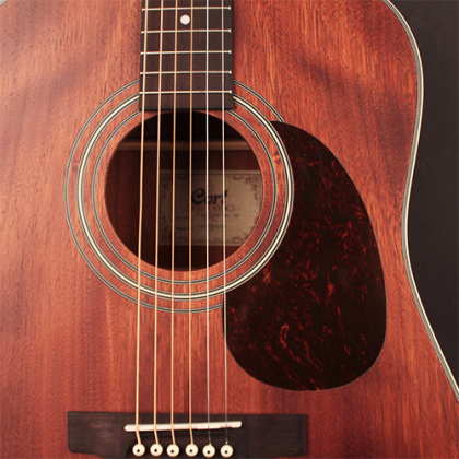 Cort Earth70 MH - Acoustic Guitar with Gig Bag (Earth 70 MH/Earth-70 MH)
