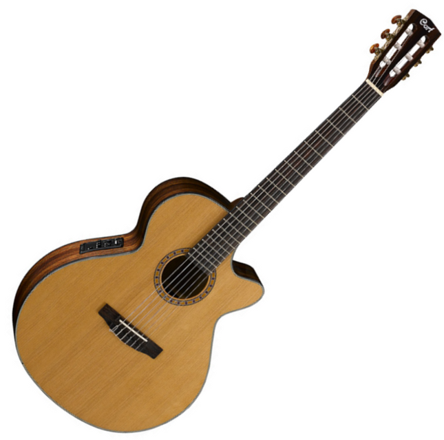 Cort CEC1 Classical Guitar with Gig Bag - Open Pore (CEC 1/CEC-1)